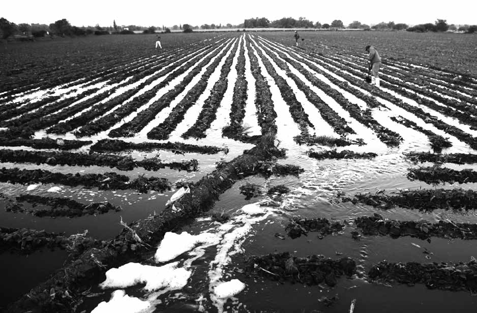 24 April / Book Release: “Thinking Through Soil”