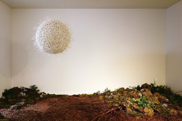 Nature Cell